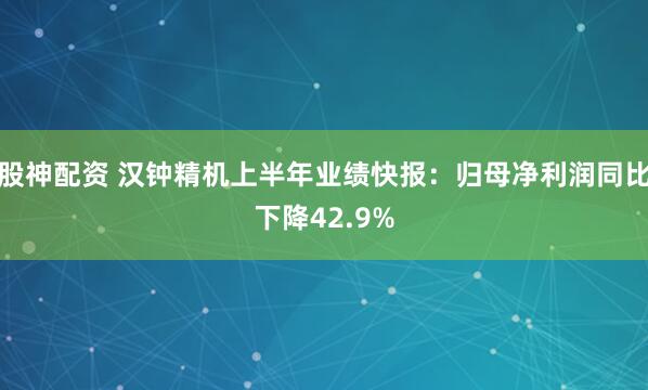 股神配资 汉钟精机上半年业绩快报：归母净利润同比下降42.9%