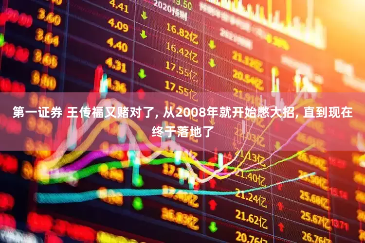第一证券 王传福又赌对了, 从2008年就开始憋大招, 直到现在终于落地了