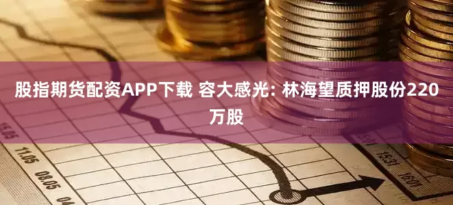 股指期货配资APP下载 容大感光: 林海望质押股份220万股