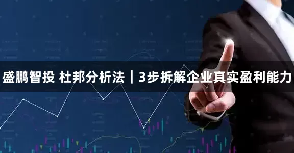 盛鹏智投 杜邦分析法｜3步拆解企业真实盈利能力