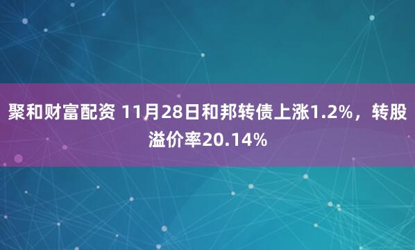 聚和财富配资 11月28日和邦转债上涨1.2%，转股溢价率20.14%